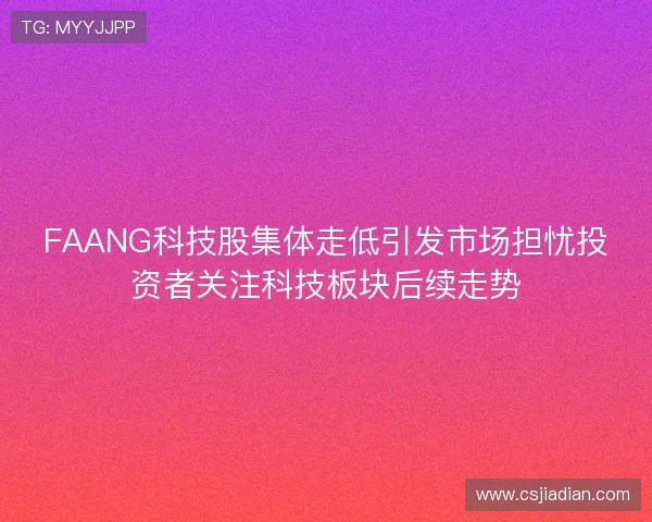 FAANG科技股集体走低引发市场担忧投资者关注科技板块后续走势